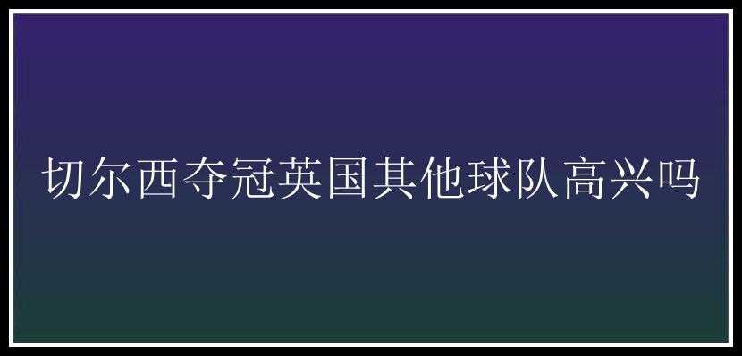 切尔西夺冠英国其他球队高兴吗