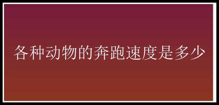 各种动物的奔跑速度是多少