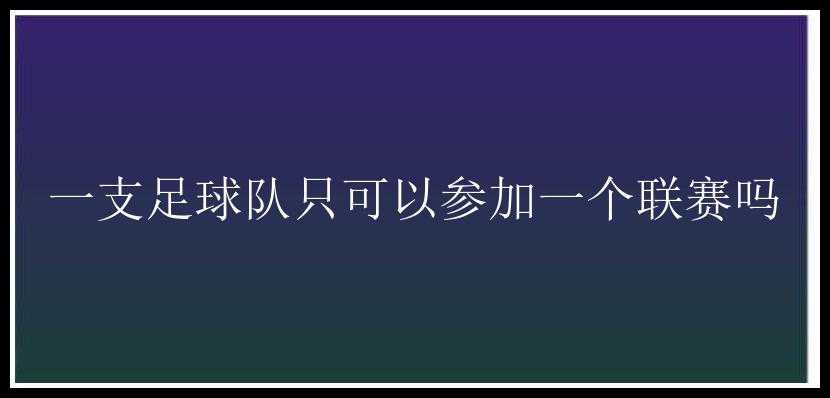 一支足球队只可以参加一个联赛吗