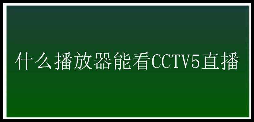 什么播放器能看CCTV5直播