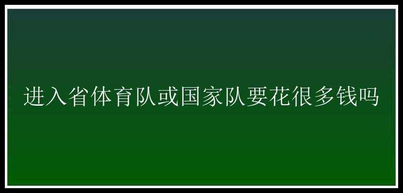 进入省体育队或国家队要花很多钱吗