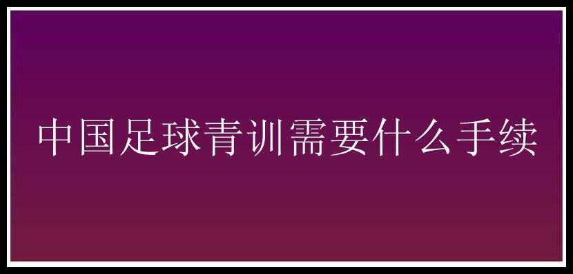 中国足球青训需要什么手续