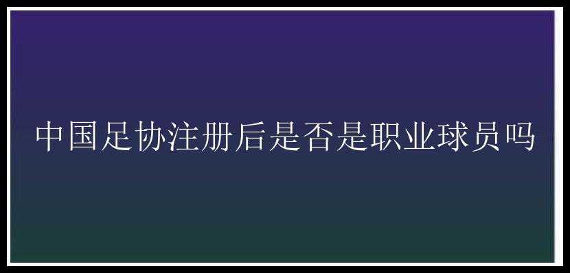 中国足协注册后是否是职业球员吗