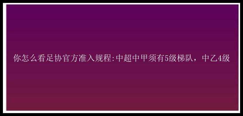 你怎么看足协官方准入规程:中超中甲须有5级梯队，中乙4级