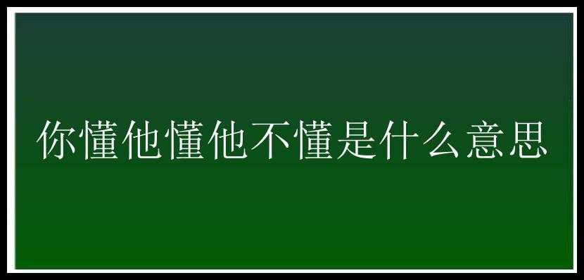 你懂他懂他不懂是什么意思