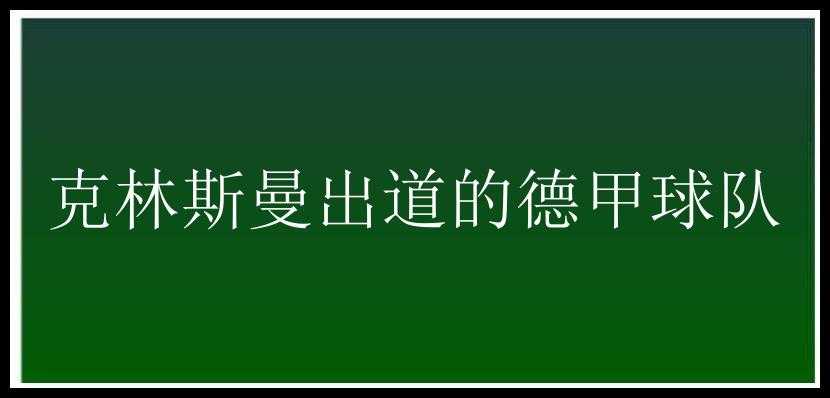 克林斯曼出道的德甲球队