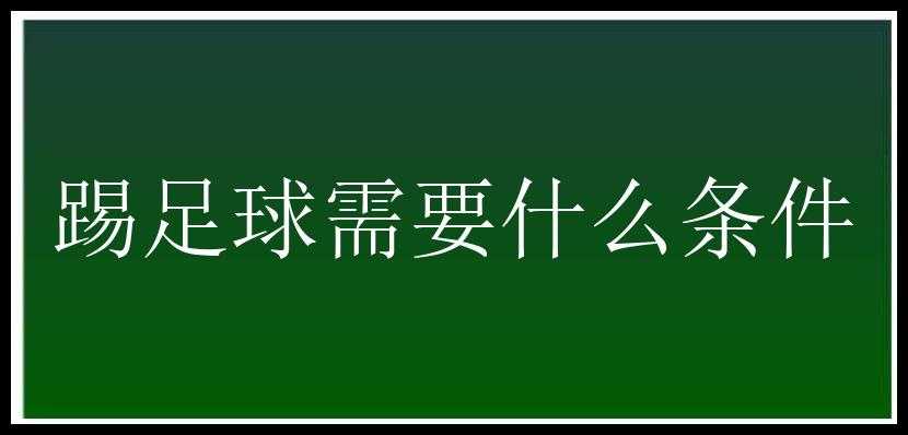 踢足球需要什么条件