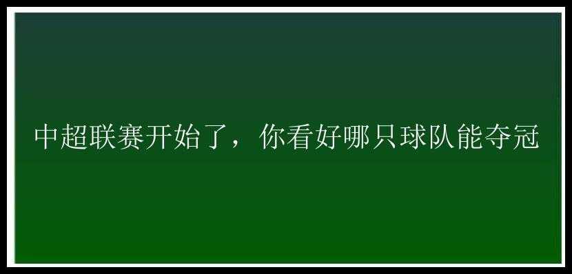 中超联赛开始了，你看好哪只球队能夺冠