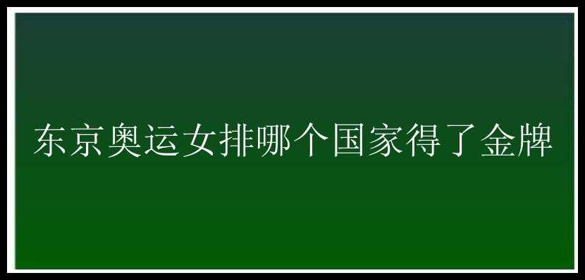 东京奥运女排哪个国家得了金牌