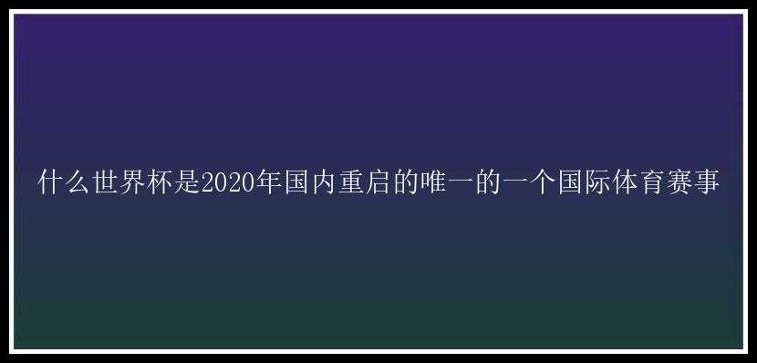 什么世界杯是2020年国内重启的唯一的一个国际体育赛事