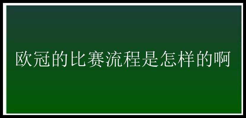 欧冠的比赛流程是怎样的啊