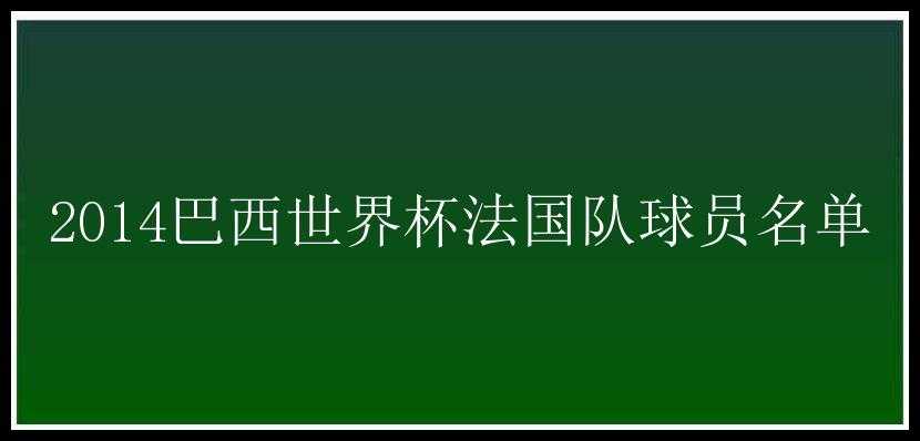 2014巴西世界杯法国队球员名单