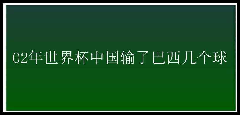 02年世界杯中国输了巴西几个球