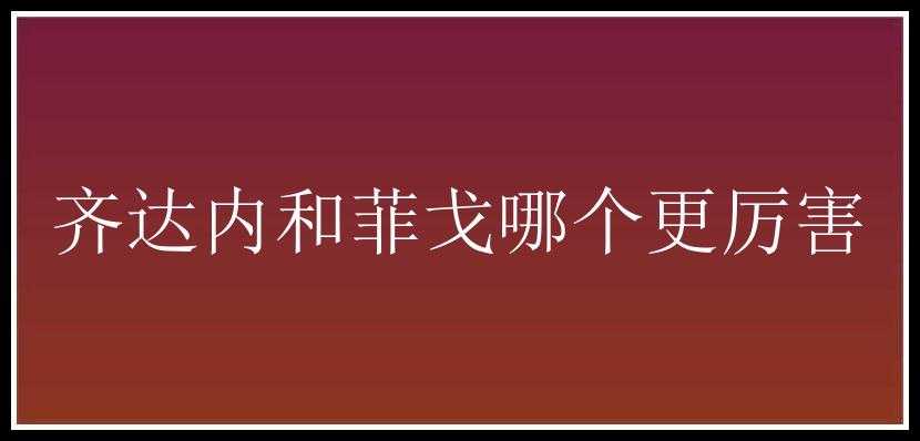 齐达内和菲戈哪个更厉害