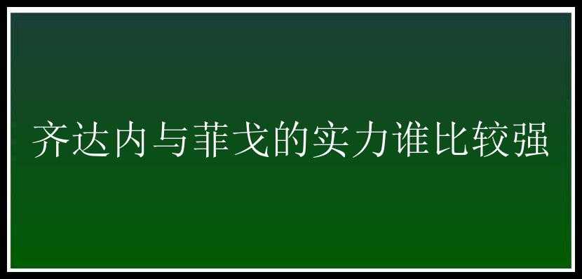 齐达内与菲戈的实力谁比较强