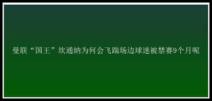 曼联“国王”坎通纳为何会飞踹场边球迷被禁赛9个月呢