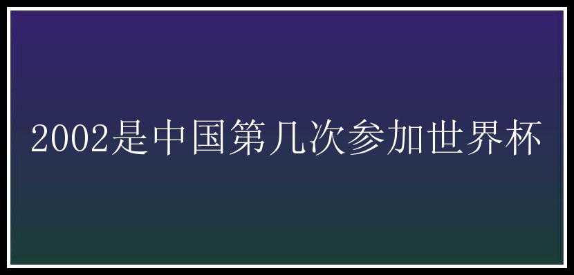 2002是中国第几次参加世界杯