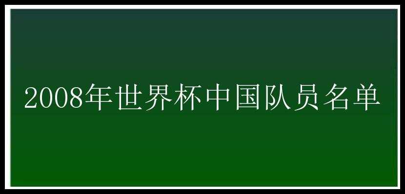 2008年世界杯中国队员名单