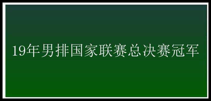 19年男排国家联赛总决赛冠军