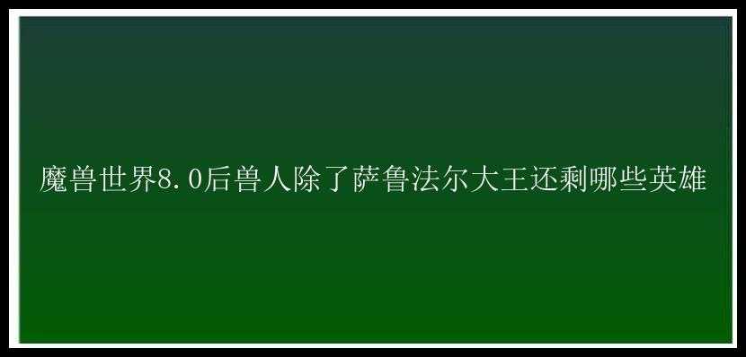 魔兽世界8.0后兽人除了萨鲁法尔大王还剩哪些英雄