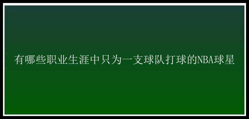 有哪些职业生涯中只为一支球队打球的NBA球星