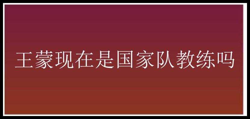 王蒙现在是国家队教练吗