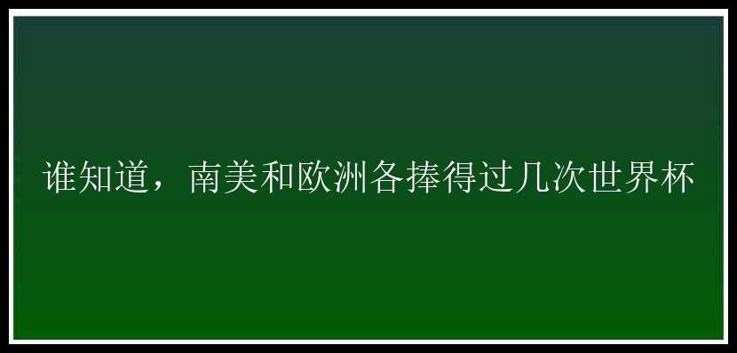 谁知道，南美和欧洲各捧得过几次世界杯