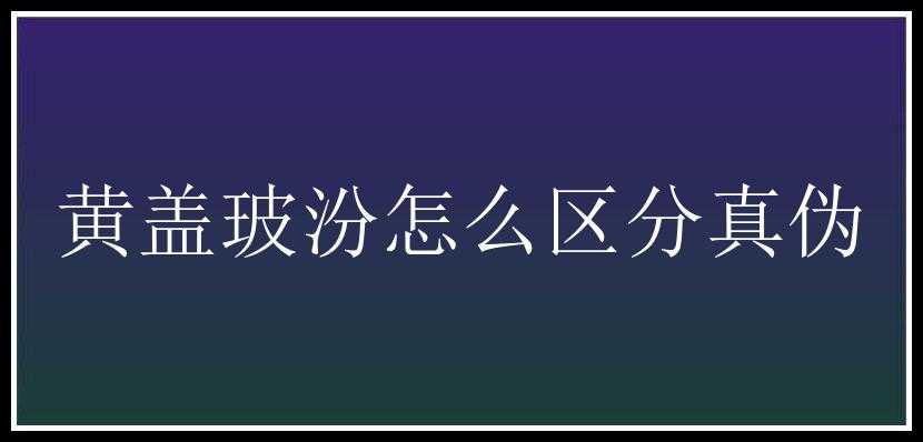 黄盖玻汾怎么区分真伪