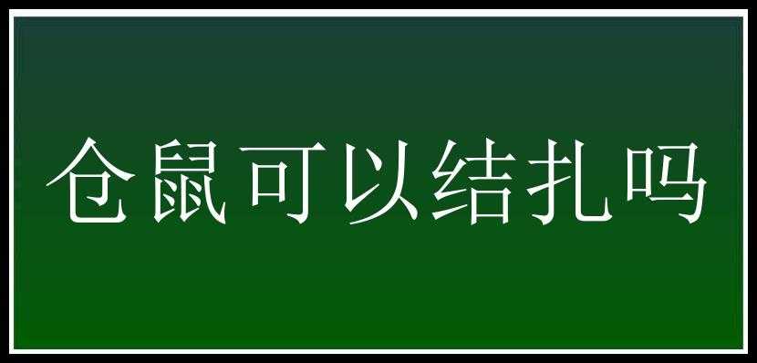 仓鼠可以结扎吗