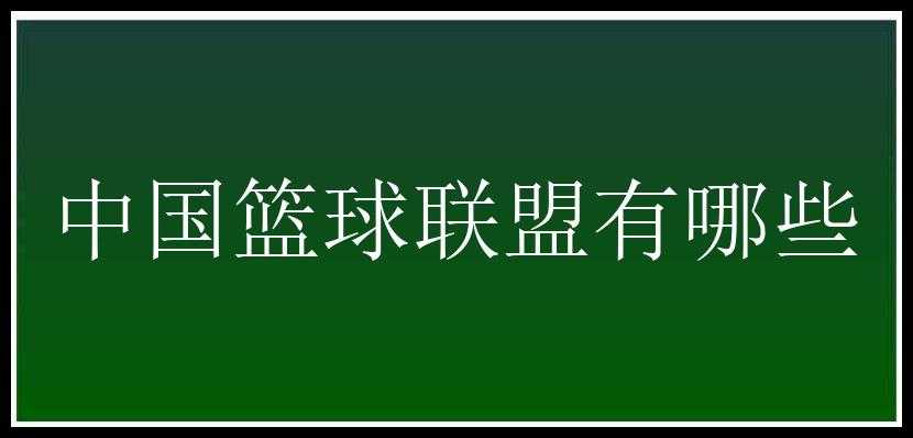 中国篮球联盟有哪些