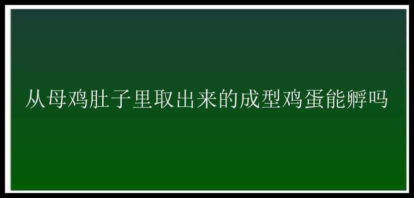 从母鸡肚子里取出来的成型鸡蛋能孵吗