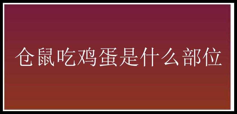 仓鼠吃鸡蛋是什么部位