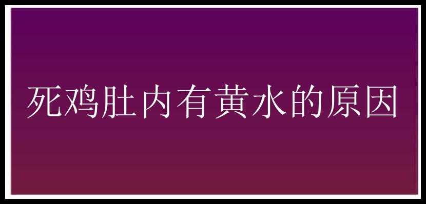 死鸡肚内有黄水的原因