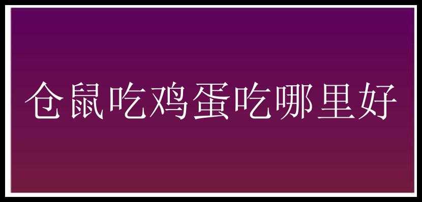 仓鼠吃鸡蛋吃哪里好