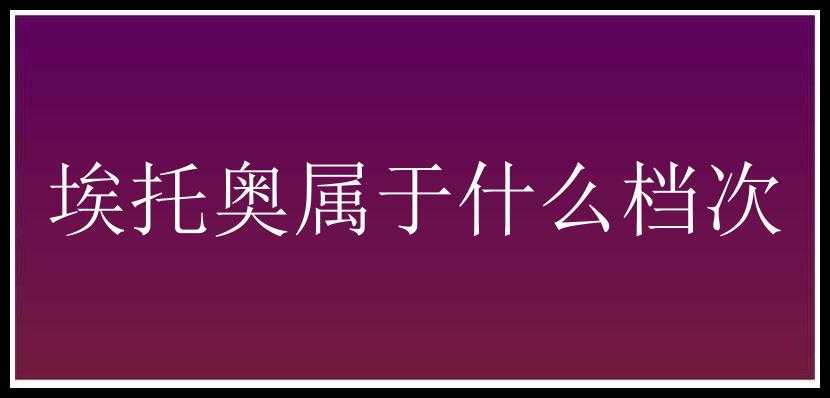 埃托奥属于什么档次