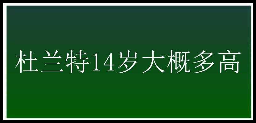 杜兰特14岁大概多高