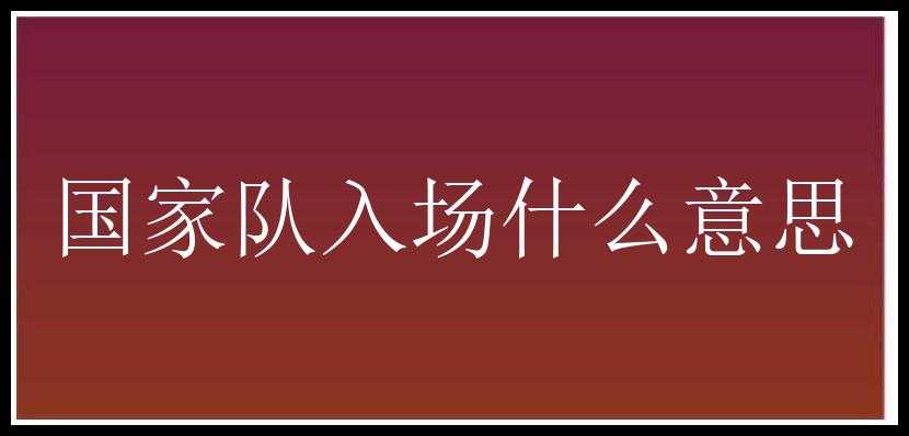 国家队入场什么意思