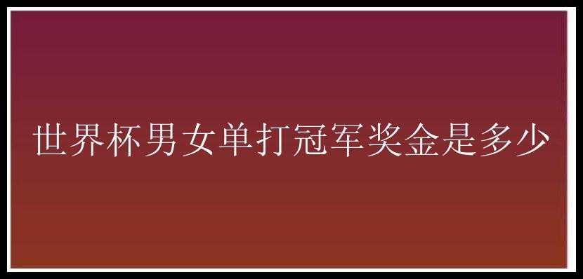 世界杯男女单打冠军奖金是多少