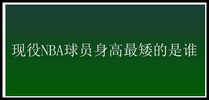 现役NBA球员身高最矮的是谁