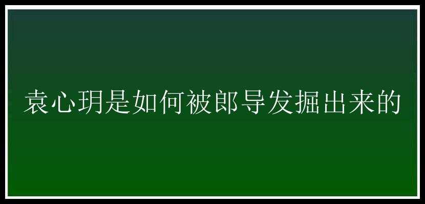 袁心玥是如何被郎导发掘出来的