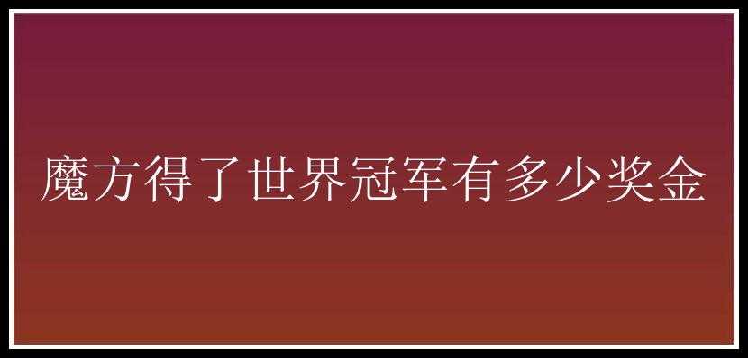 魔方得了世界冠军有多少奖金