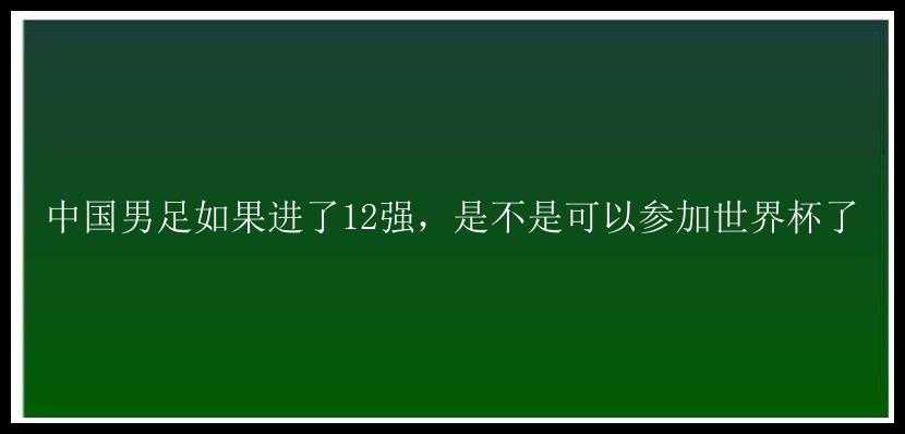 中国男足如果进了12强，是不是可以参加世界杯了