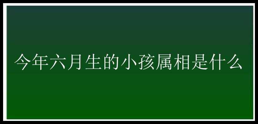 今年六月生的小孩属相是什么