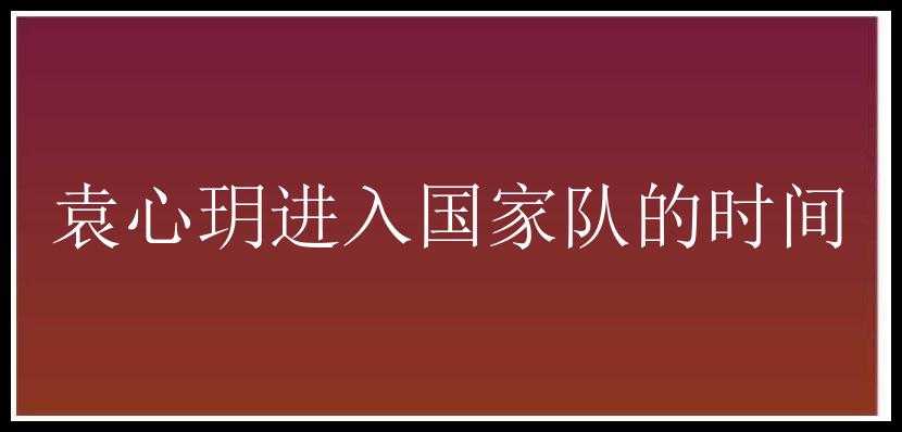 袁心玥进入国家队的时间