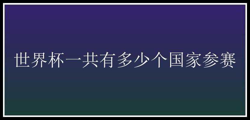 世界杯一共有多少个国家参赛