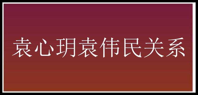 袁心玥袁伟民关系