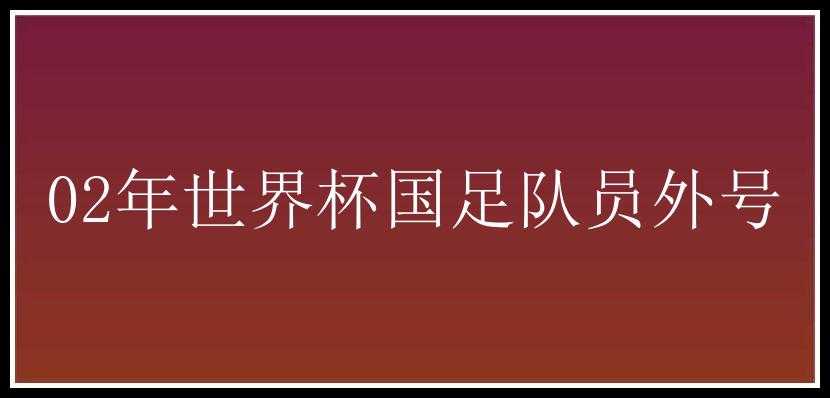 02年世界杯国足队员外号