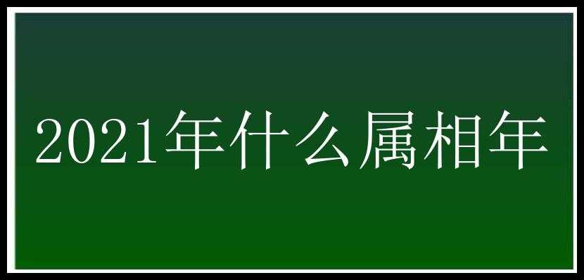 2021年什么属相年