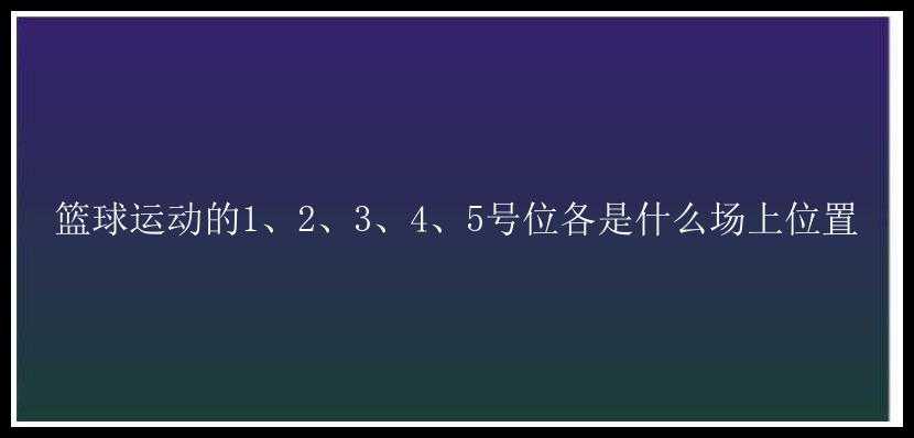 篮球运动的1、2、3、4、5号位各是什么场上位置