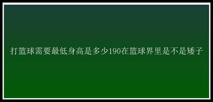 打篮球需要最低身高是多少190在篮球界里是不是矮子